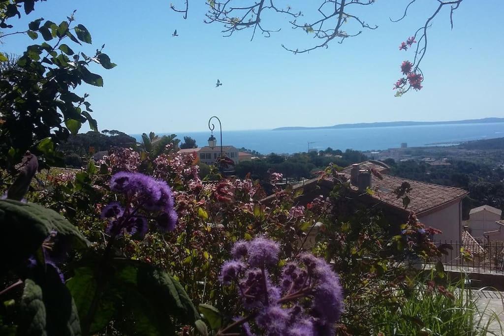 Studio 4 Pers Coeur Du Lavandou 5Mn A Pied Des Plages Le Lavandou Esterno foto